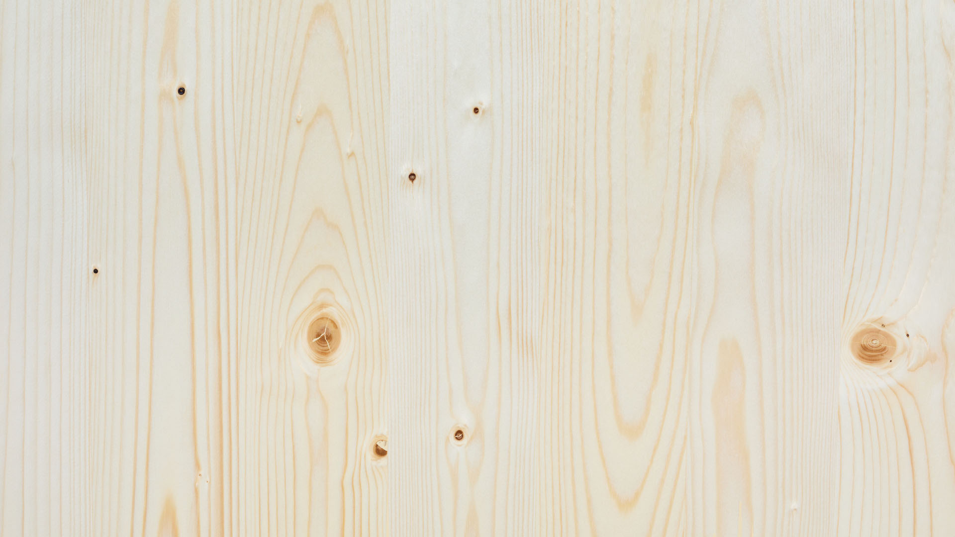 Die Holzplatte der Bierzeltgarnitur in Natur