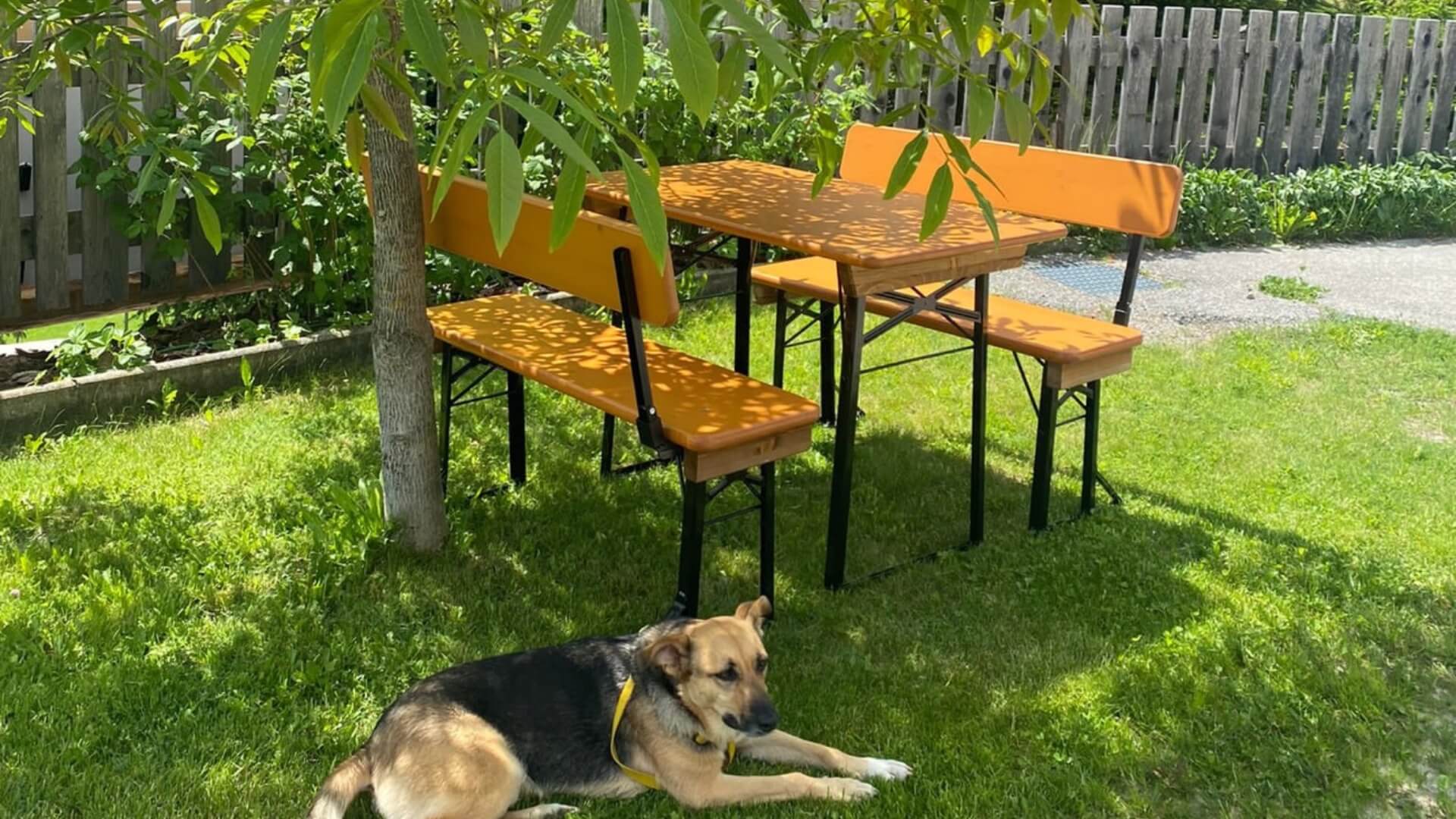 Die kleine Bierzeltgarnitur wurde im Garten unter einem Baum aufgestellt.