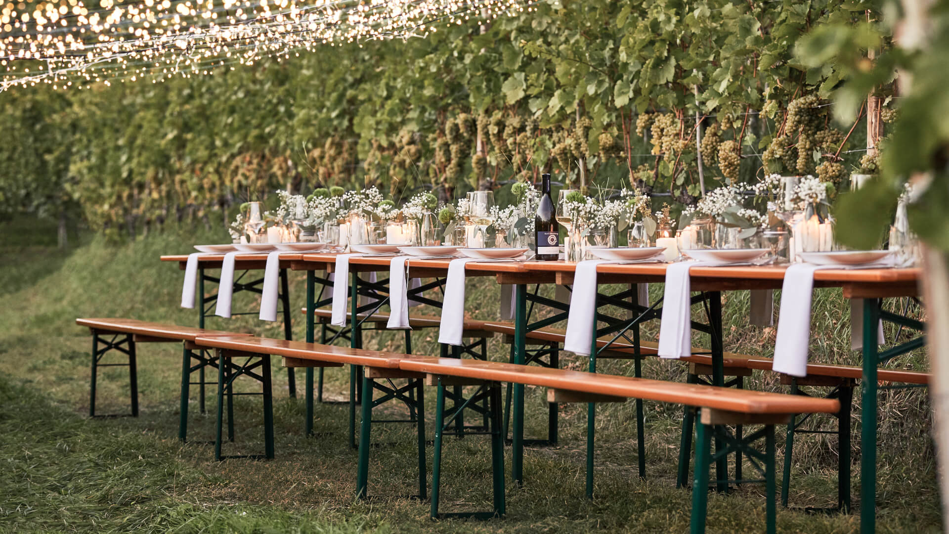 The wide beer garden table set has been placed in the greenery and decorated with white decorations.