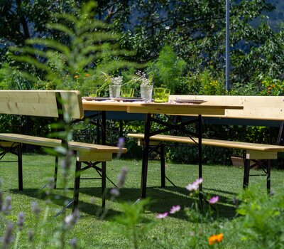 Das Bild zeigt eine klassische Bierzeltgarnitur in der Farbe Natur mit schwarzem Untergestell, die in einem Garten aufgestellt wurde. Der Biertisch ist schön gedeckt mit Gläsern,  Tellern und Besteck.