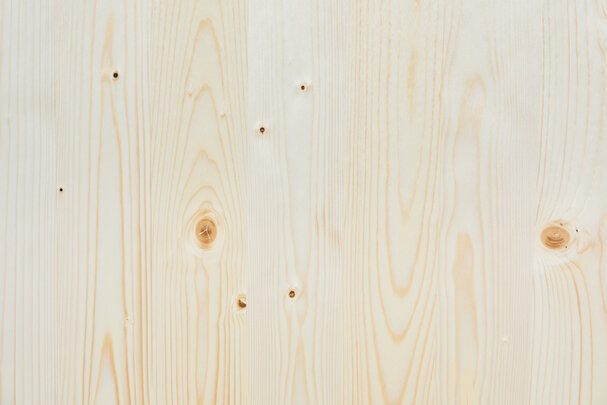 Die Holzplatte der Bierzeltgarnitur in Natur.