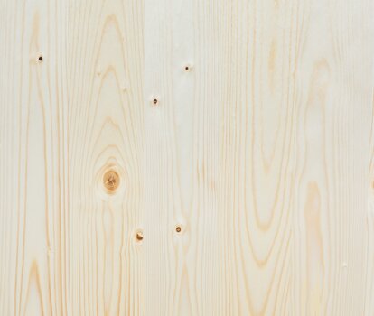 Die Holzplatte der Bierzeltgarnitur in Natur.