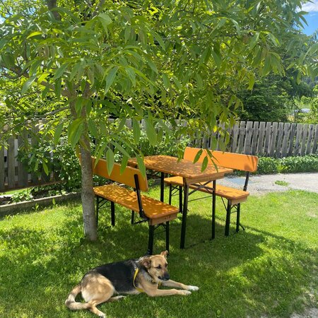 Die kleine Bierzeltgarnitur wurde im Garten unter einem Baum aufgestellt.