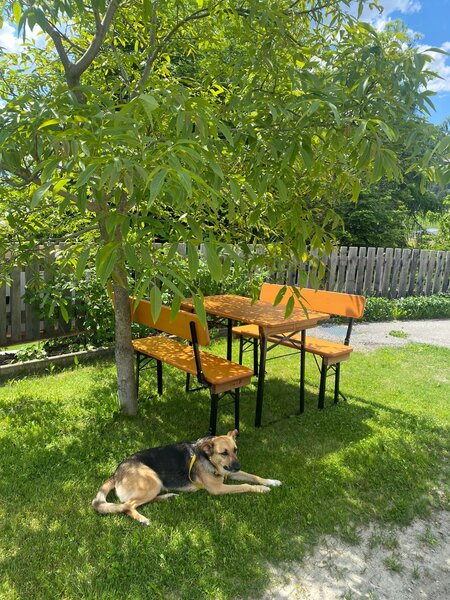 The small beer garden table set was placed in the garden under a tree.